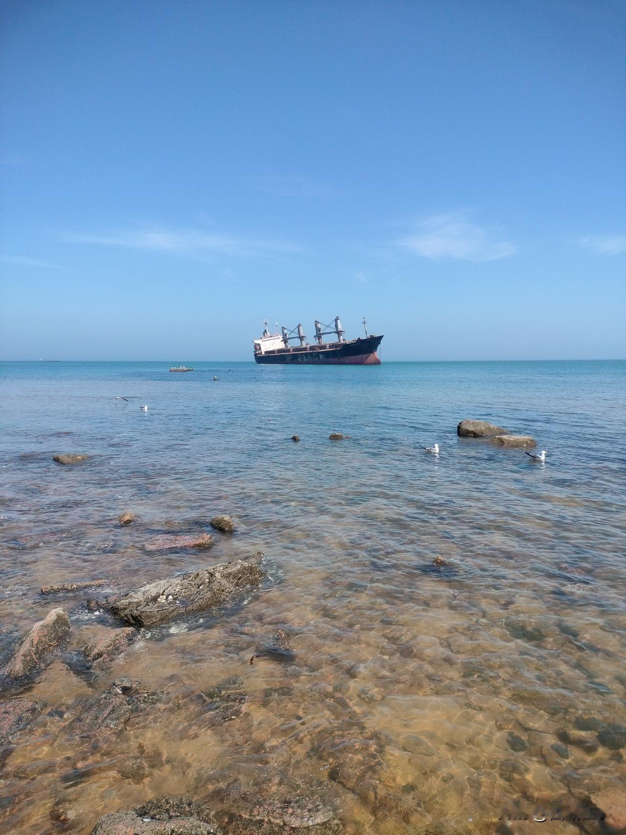 这两天有没有从山东济南或者威海自驾车去新疆的车？缺驾驶员的喊我，凑一伙热闹一路…