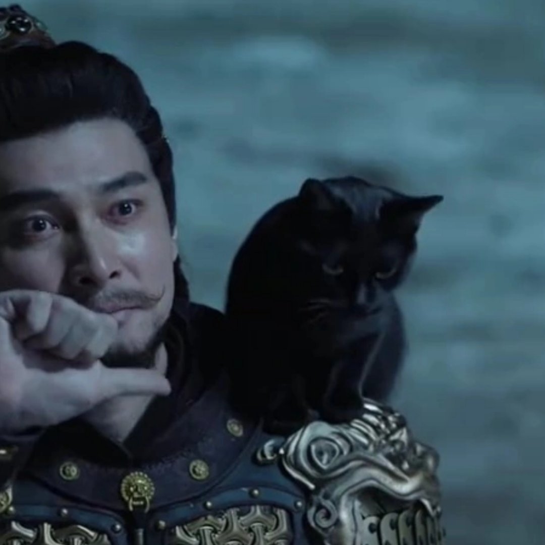 白日提灯片尾连咪咪都有署名啊啊啊好萌啊喂白日提灯