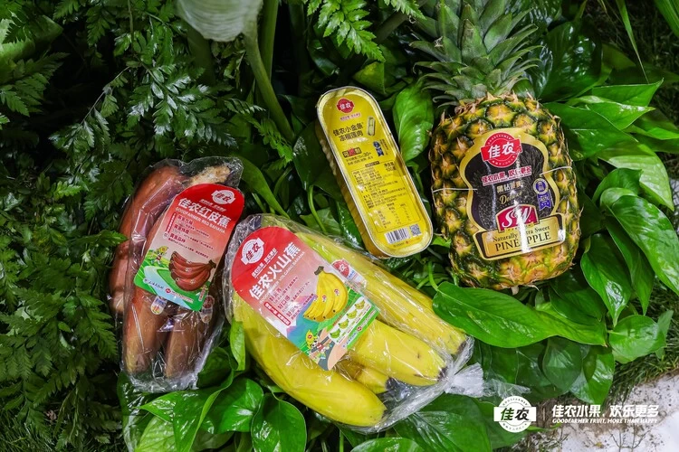 进博资讯 | 佳农水果亮相2025进博优品交易会，共享中国大市场机遇