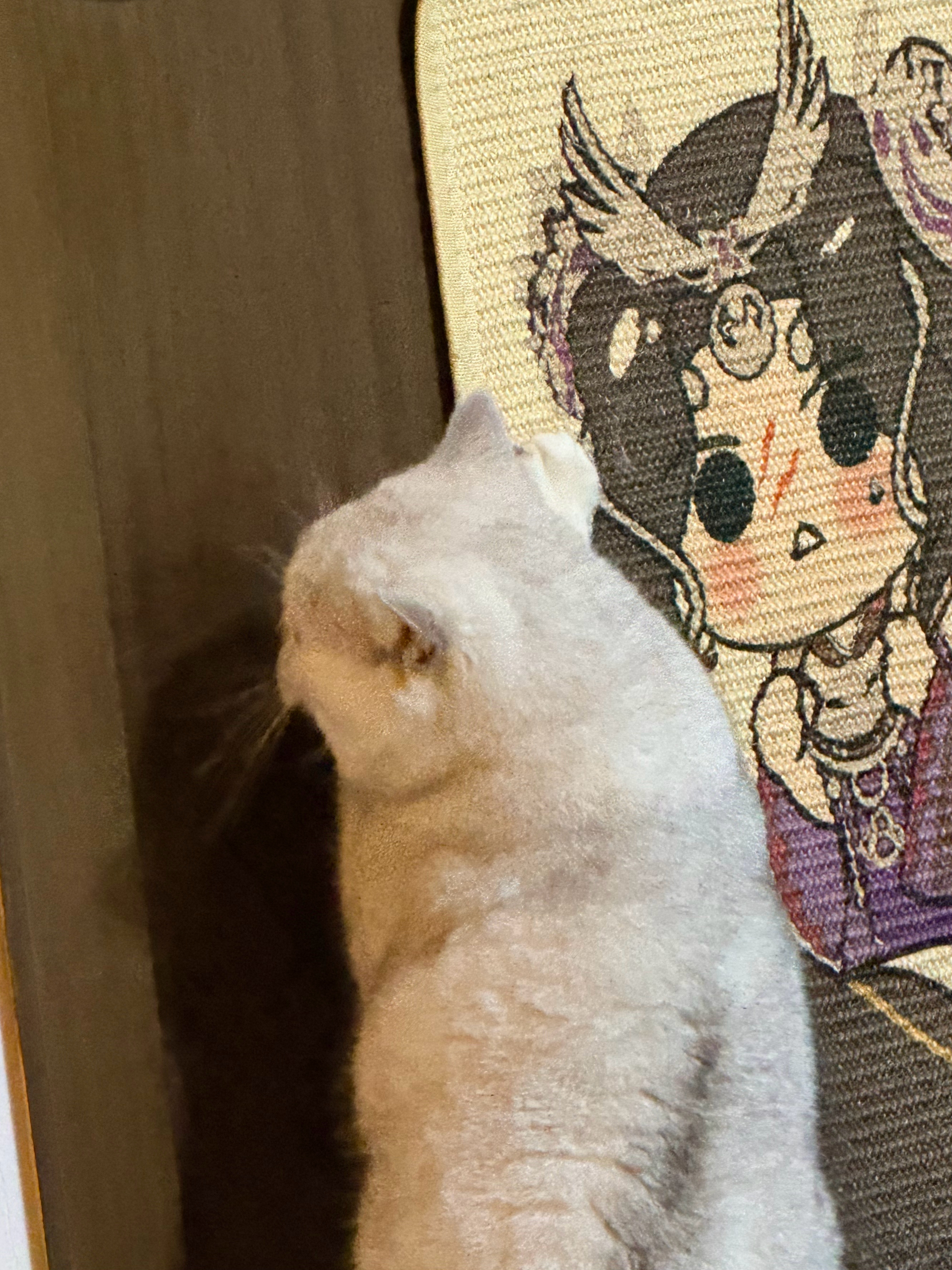 孩子很懂事，不抓妈妈的脸