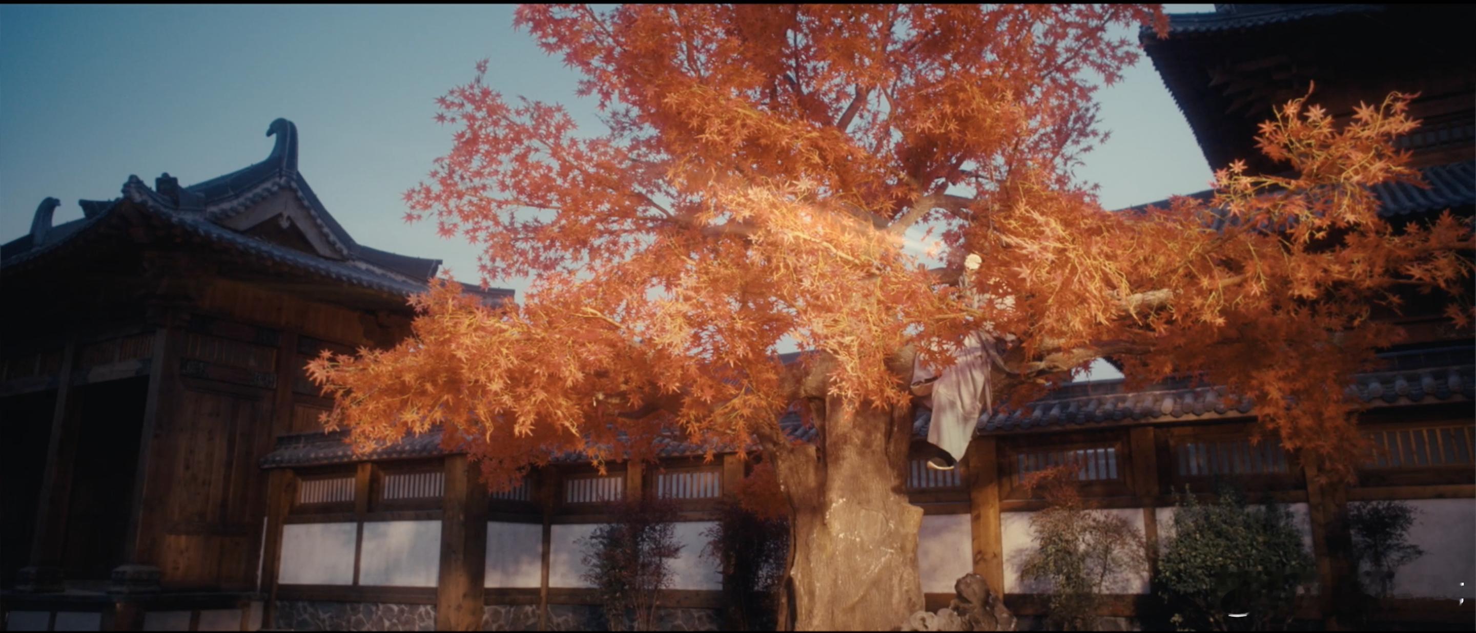 严屹宽做臣做帝都权威 他不仅有着古装剧中的王者气质，更有着细腻的演技，严屹宽每一