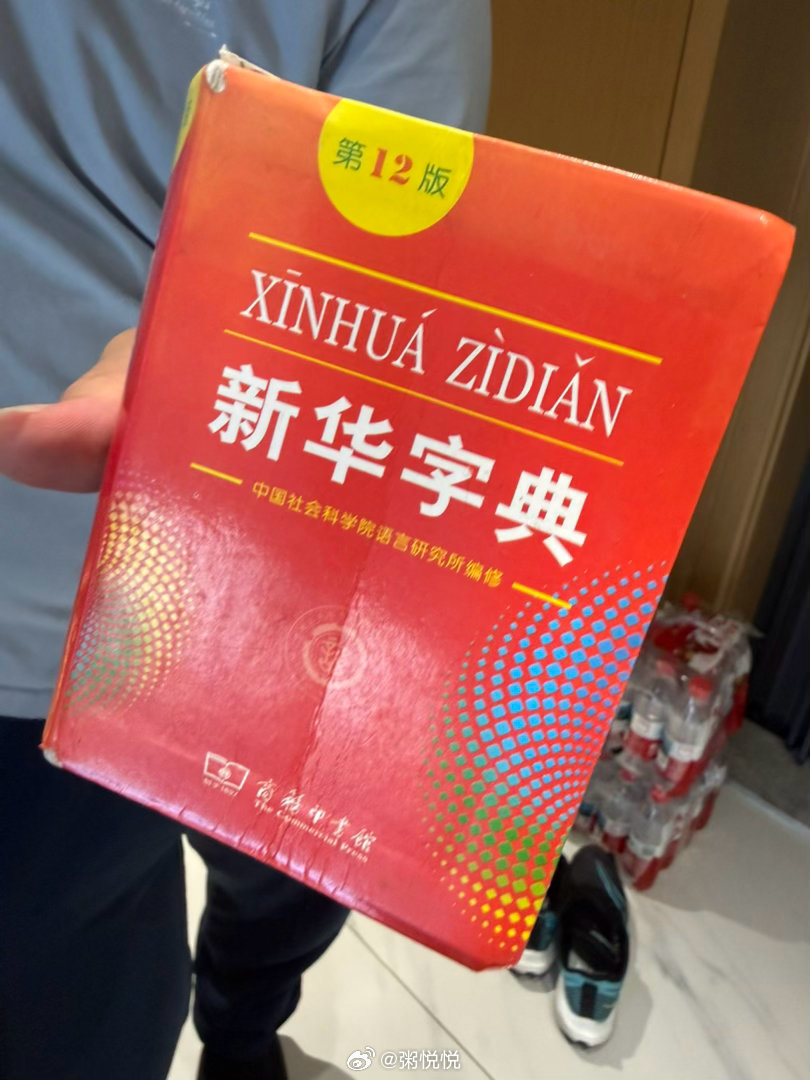 收拾打扫一天，腰酸背痛。老大还让我带本新华词典给老三，说，让她识字～ 