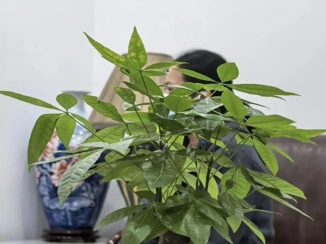 广州九旬老人去世后留下500万元房产和存款，突然冒出2名私生子女与其儿子争遗产，