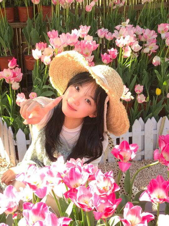 𝙩𝙪𝙡𝙞𝙥🌸浅春系出游  ̷ ♡̷⁺₊˚