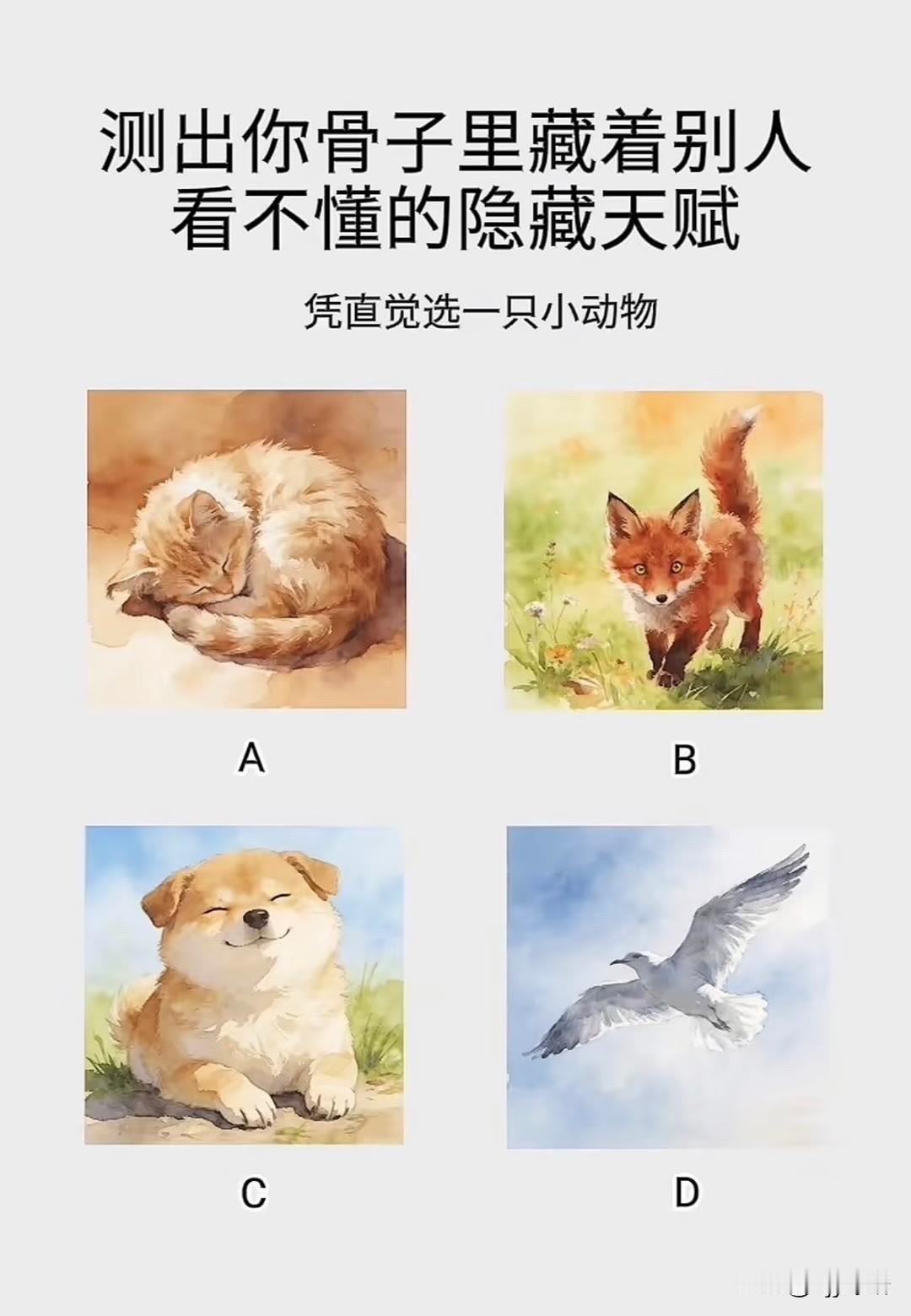 凭直觉选一只小动物