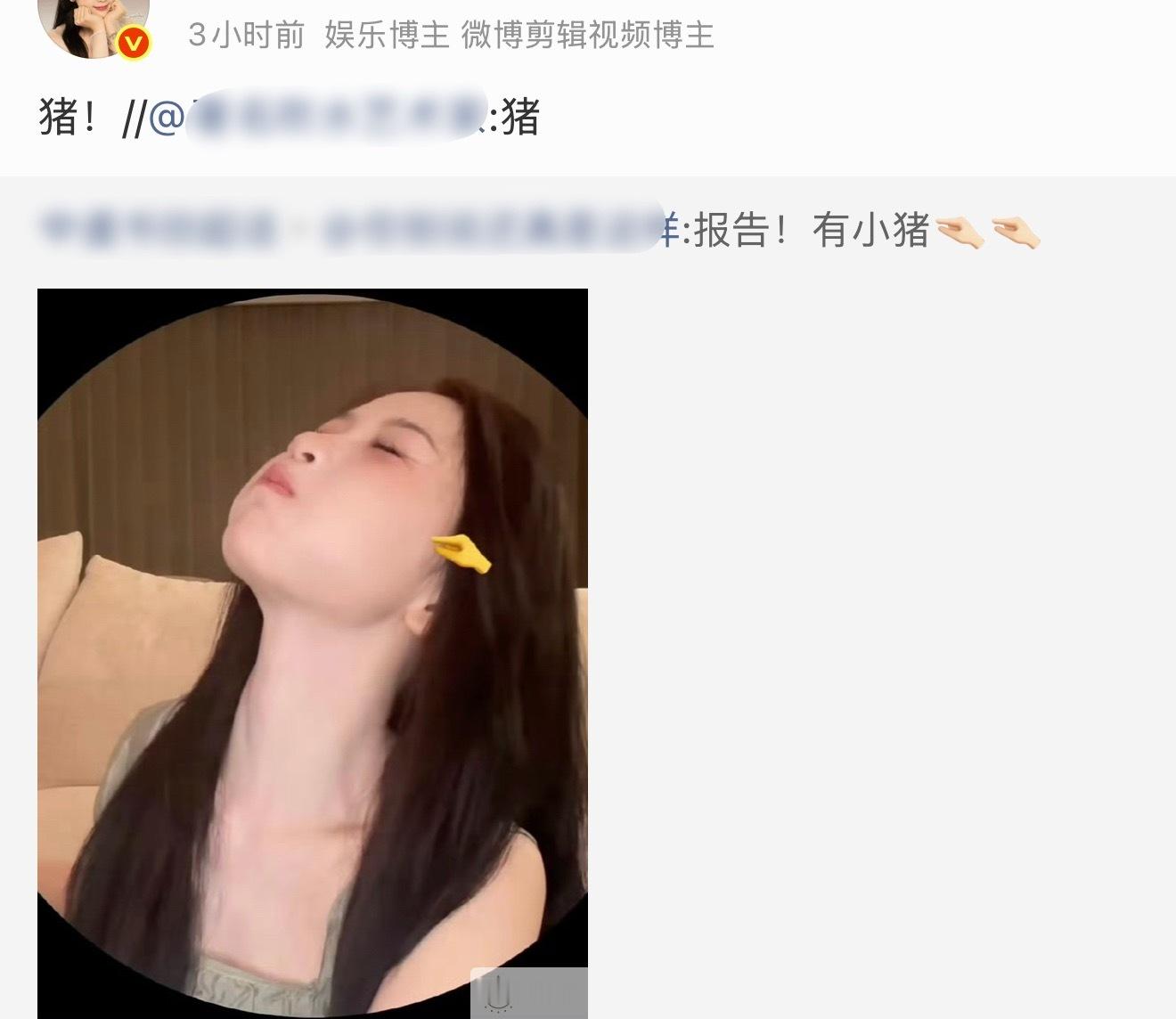 其实动物塑我能理解，猫塑兔塑蛇塑猴塑都能get到…但🐷塑每次刷到，我都以为是在