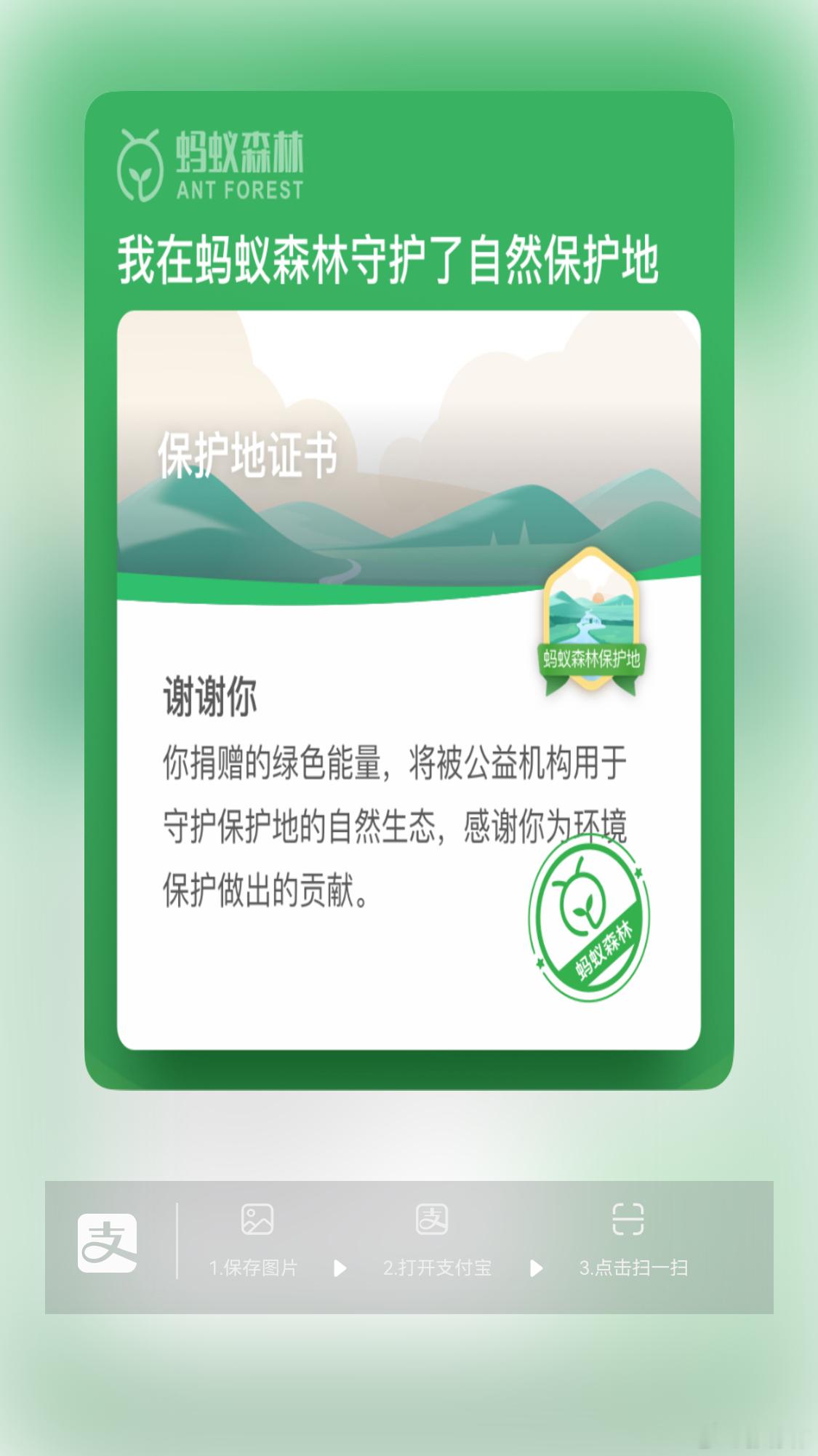 重阳节，种下一棵树，祝愿所有的父母平安！重阳节  ​​​