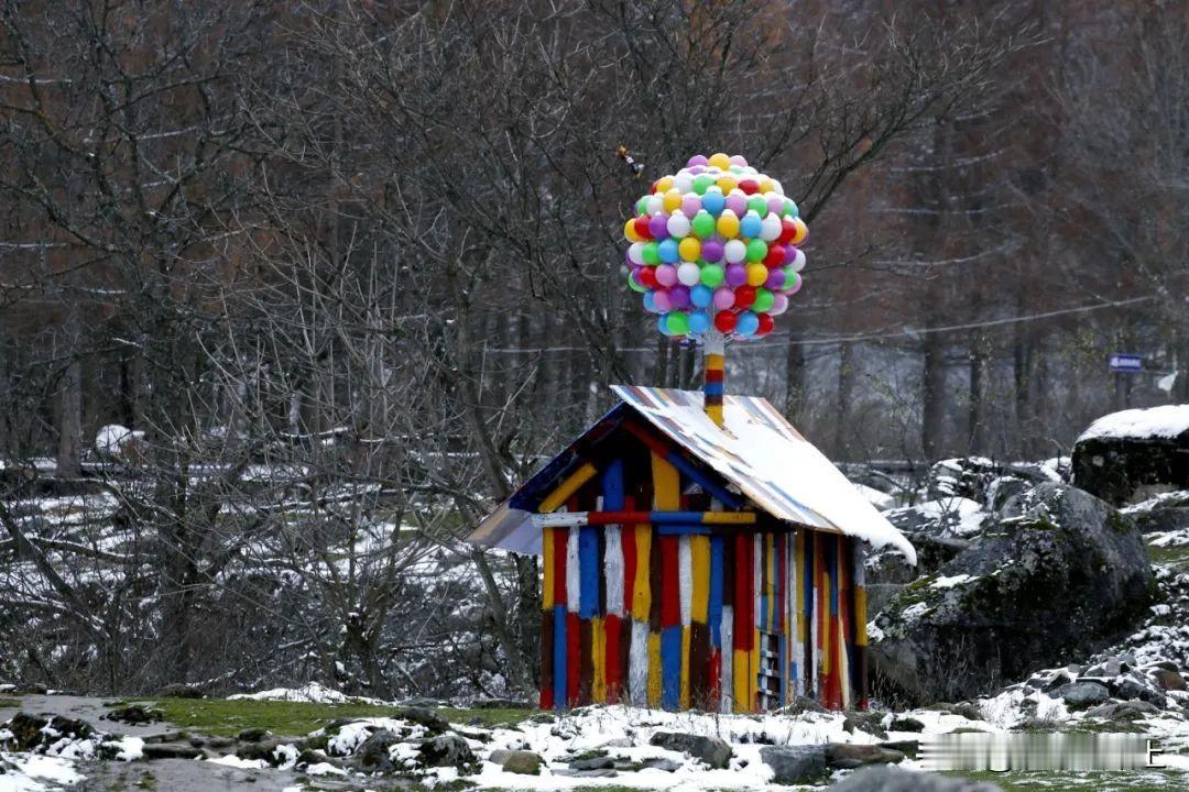 【雪后留坝的浪漫瞬间】近日，留坝迎来了今冬的第一场雪，雪花纷纷扬扬洒落在墨绿深黄