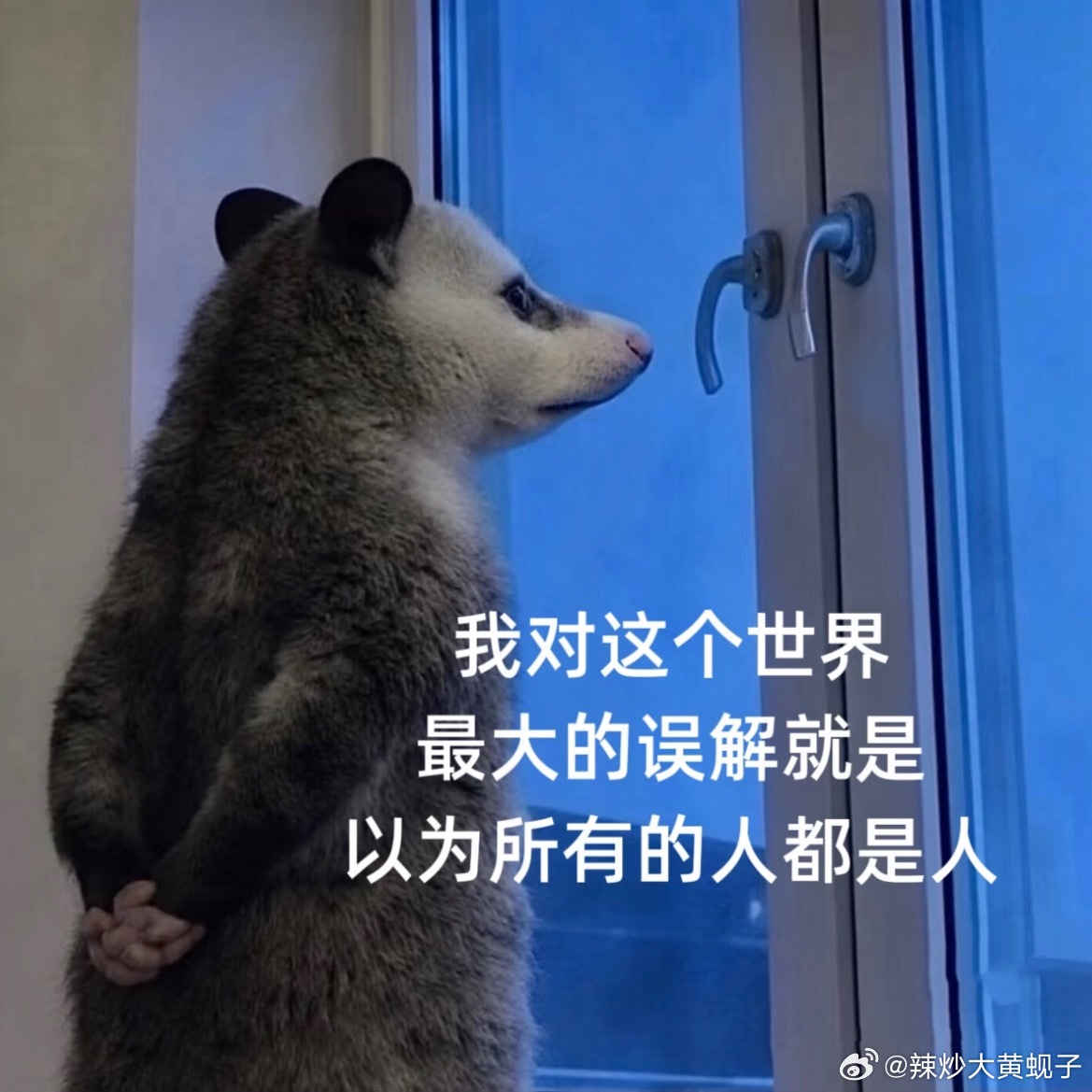 昧着良心说话赚钱的。用我们老家话讲“留着买纸烧” 