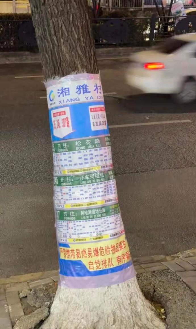 贵阳人松弛感这一块没对手 