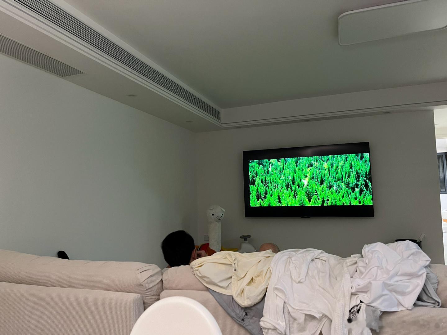 85寸看起来也不大[揣手]不过我尽力了，再大就不是我的消费范围了 ​​​