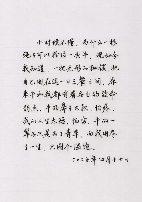 小时候不懂，为什么一根绳子可以拴住一头牛