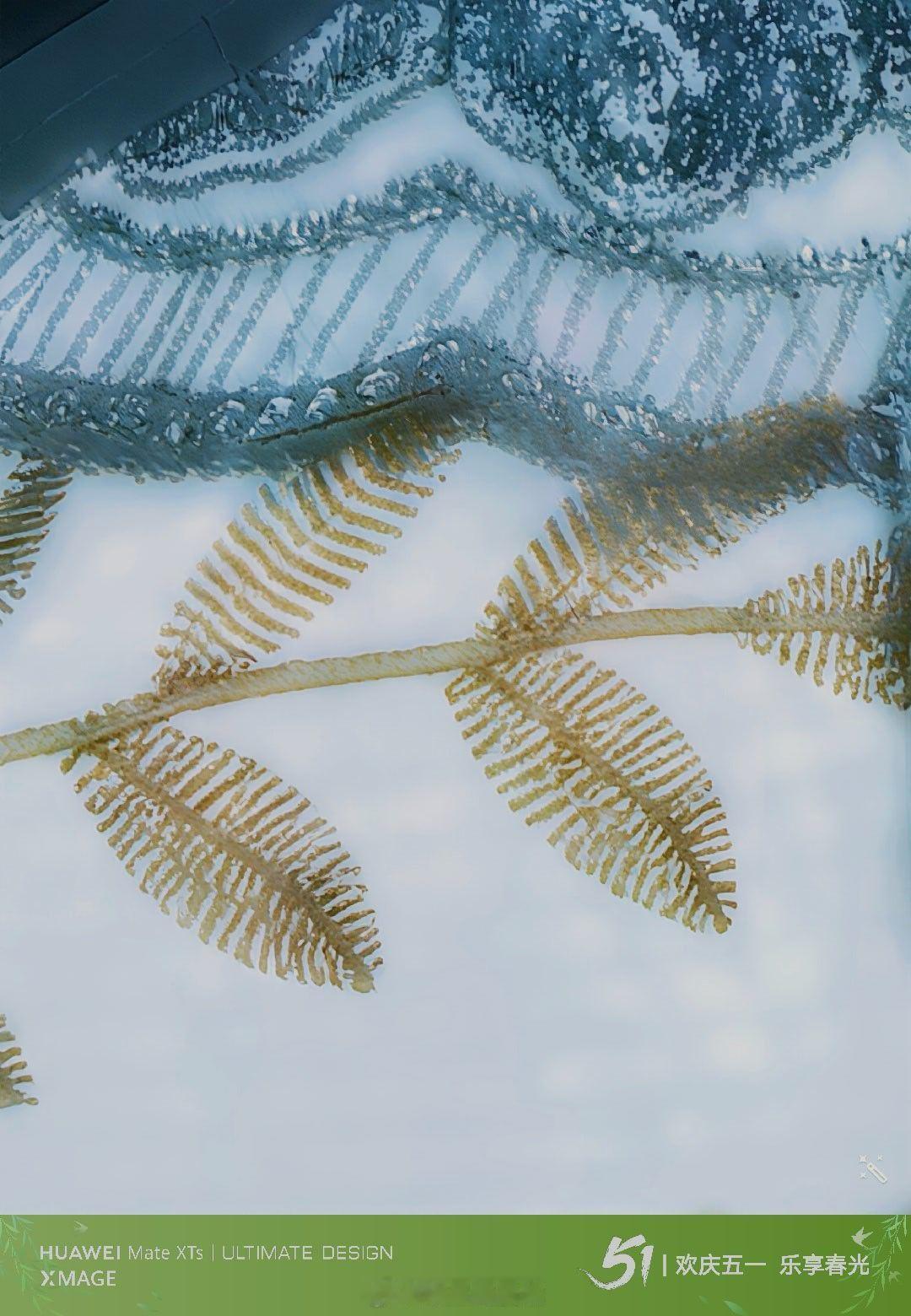 第一次对Ai修图的强大 