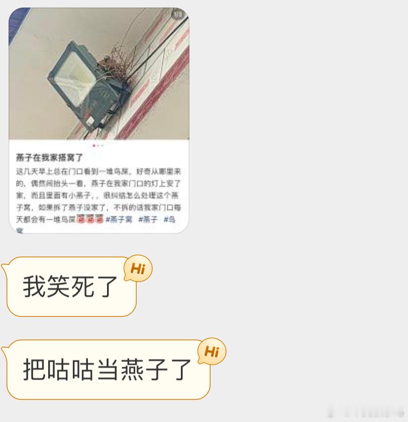 燕子：我的窝可没有这么简陋 ​​​