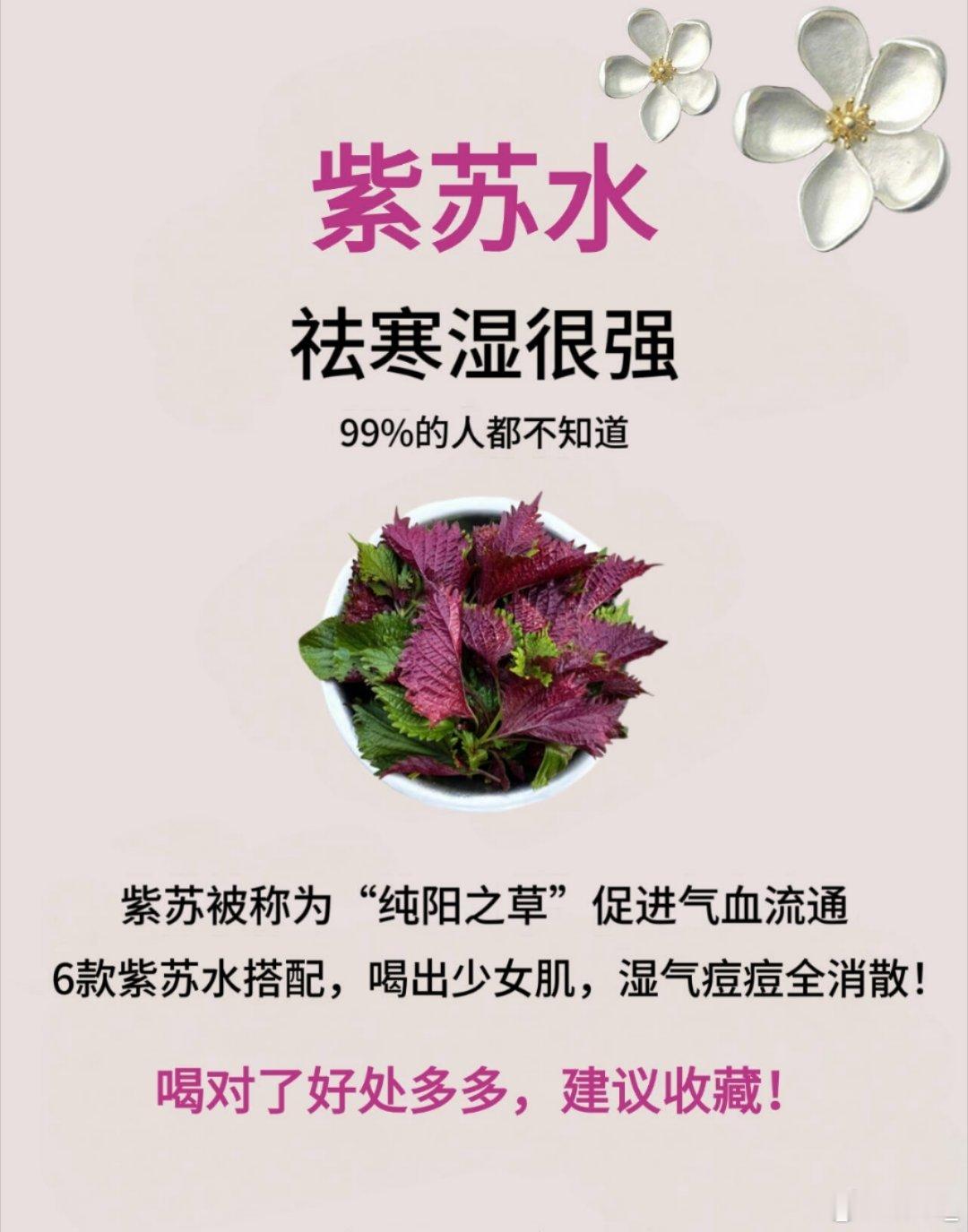 中医中药一把紫苏叶赶走寒湿！颜值飙升就靠 它！ 今年湿气重到离谱？别怕！中 认证