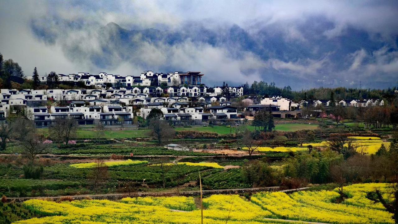 春日生活打卡季白墙黛瓦藏在云雾山坳里，金黄油菜花漫过田埂，春风吹过，连空气都裹着