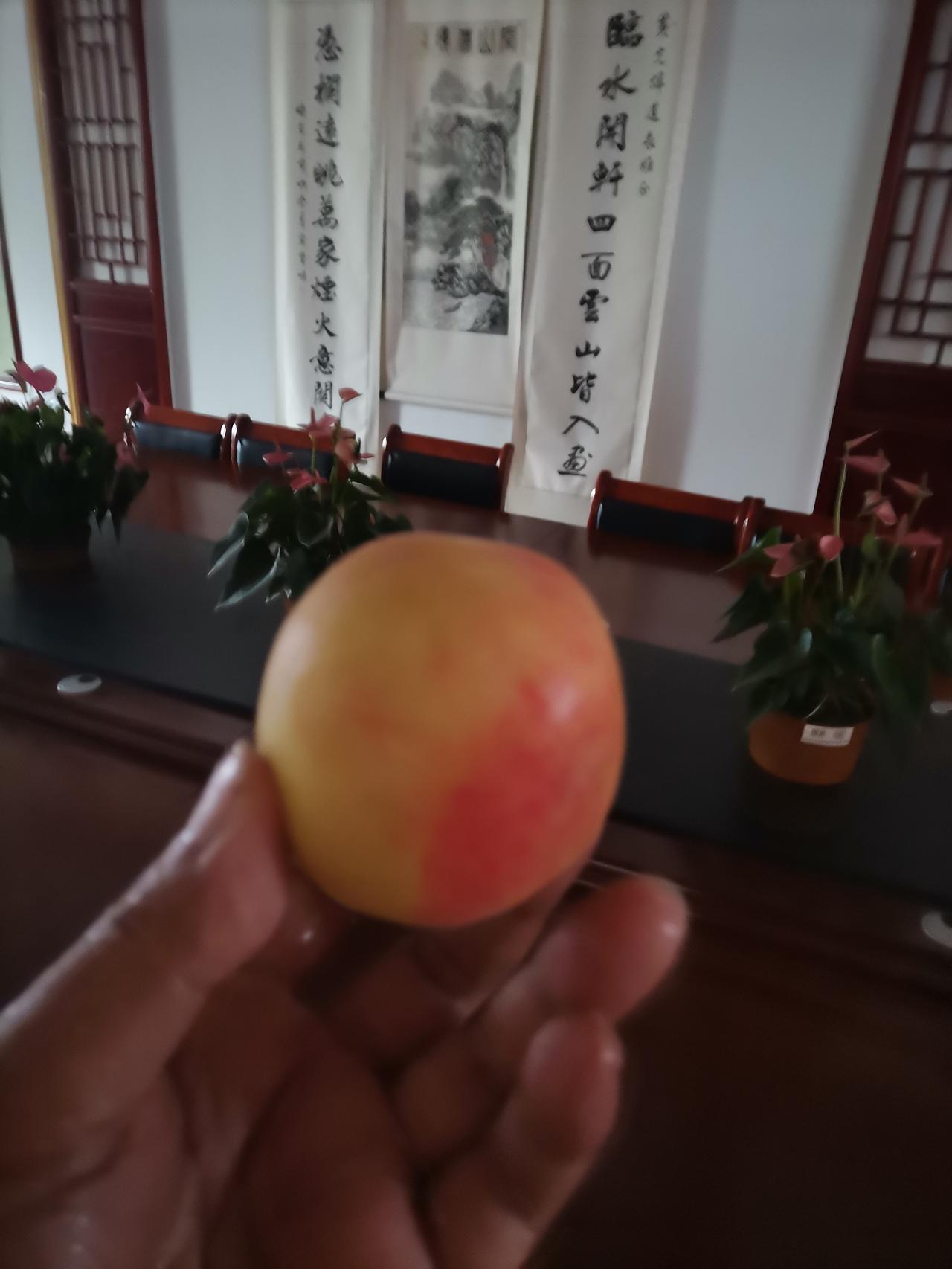 古田特色水蜜桃🍑
福建省古田县的临水宫祖庙，承载千年临水深情，彰显两岸一家亲谊