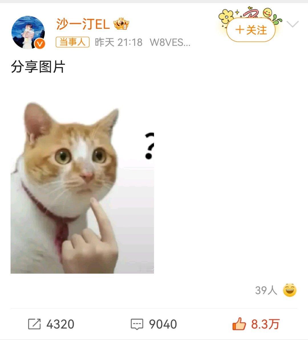 跟沙一汀有个毛线关系！不用给汀子抬咖哈，麦琳自己当紫薇星就行了[微笑] 沙一汀麦