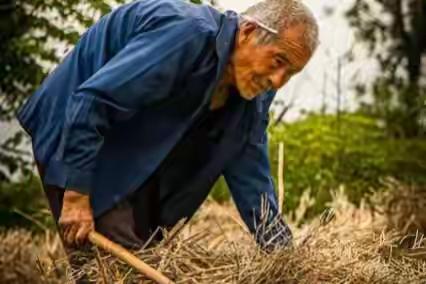 在深圳，先前有这般一个买房事件, 确实让人感叹气数的美妙！80年代, 叔父凭借着