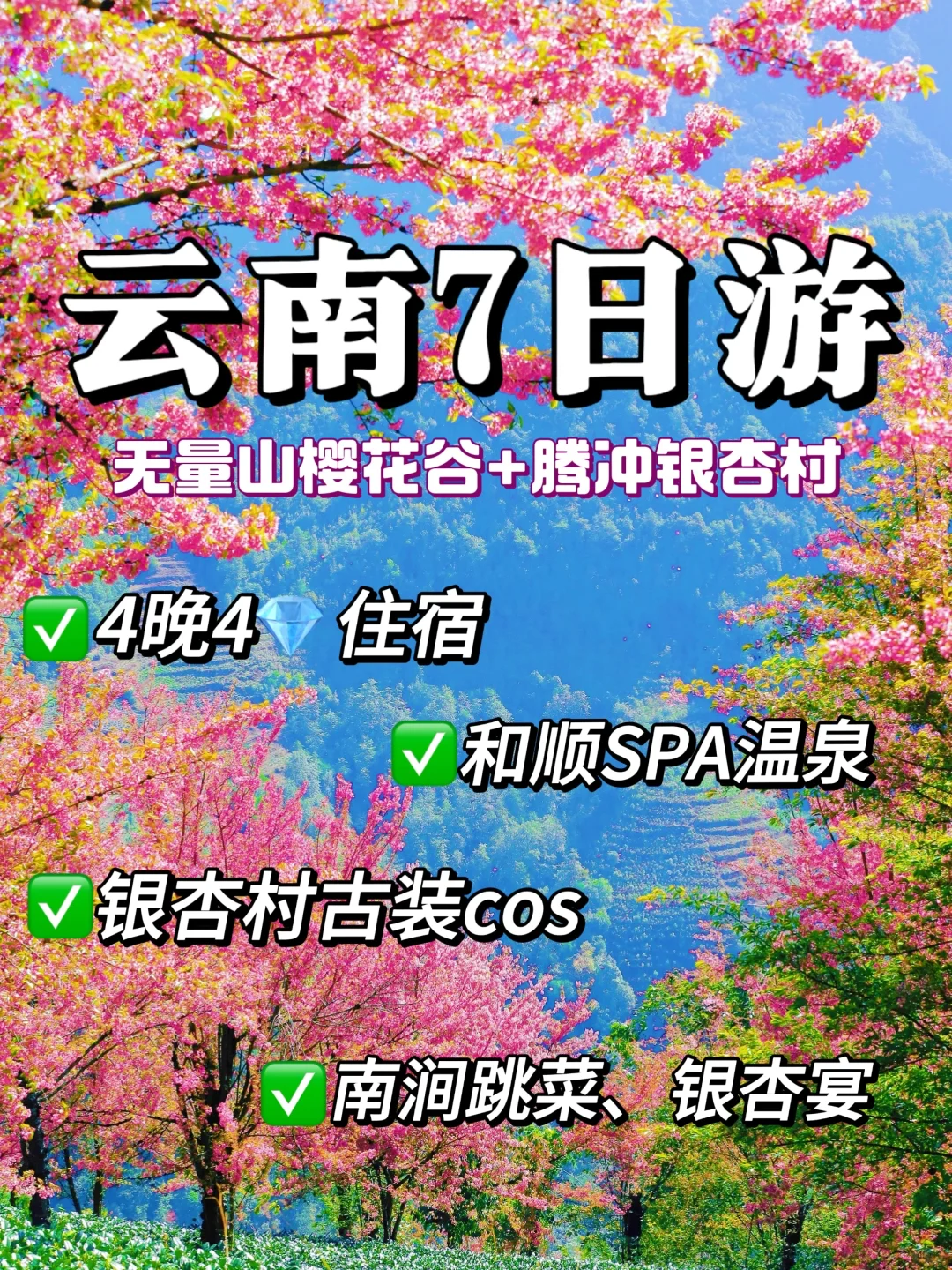 云南小众7日游🌸腾冲银杏+无量山樱花