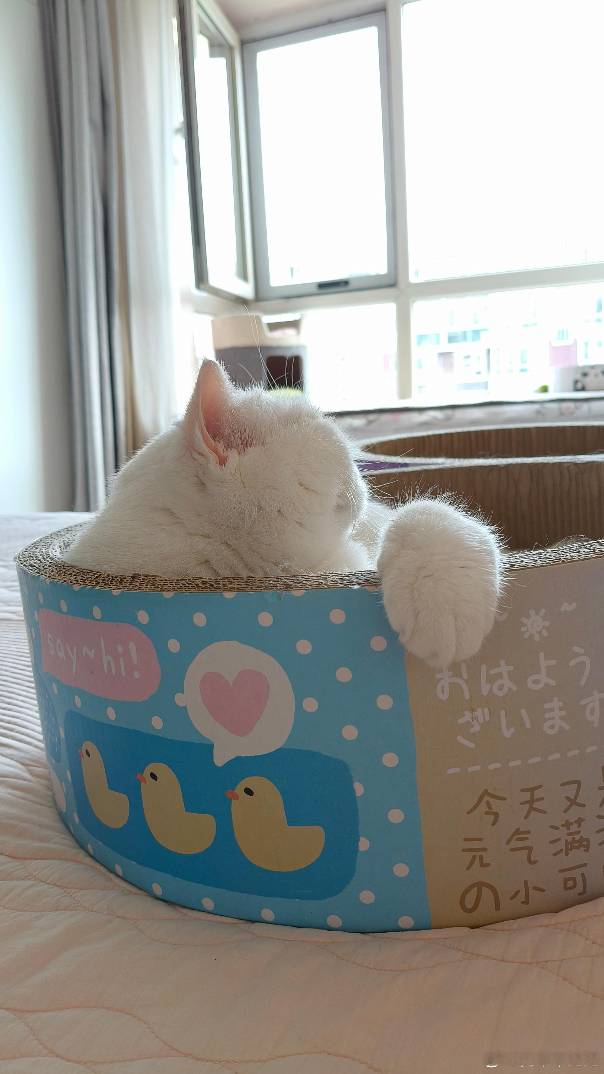 像个老干部～晚安
