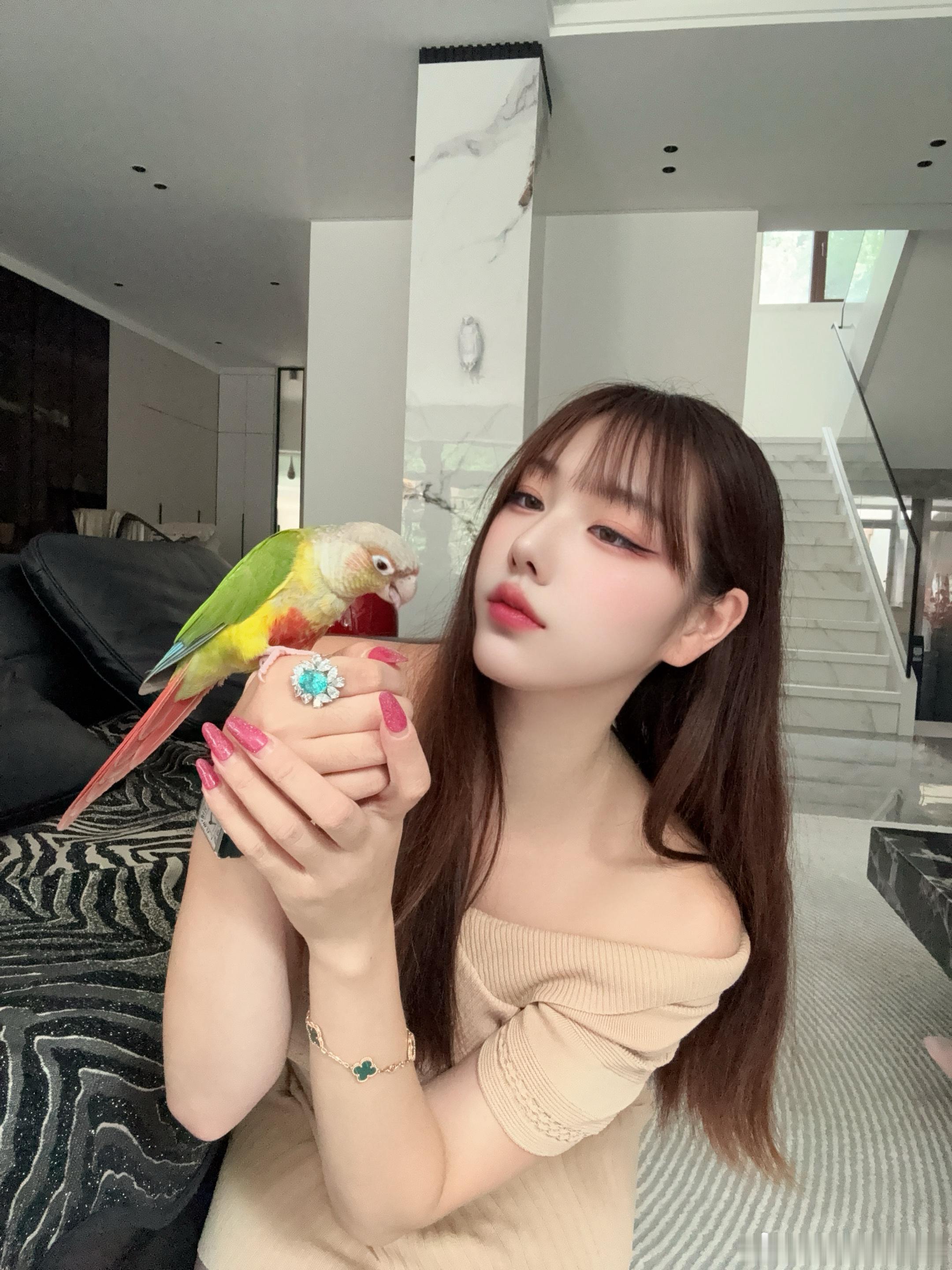 我们家的小鸡宝宝🐦 