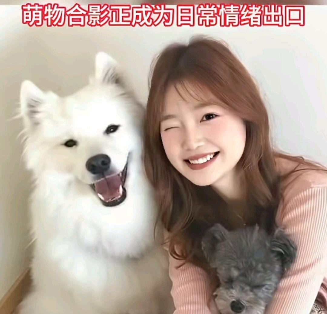 你随便翻一翻身边人的手机相册，总能翻到几张不是拍风景、也不是拍自己的照片，主角是