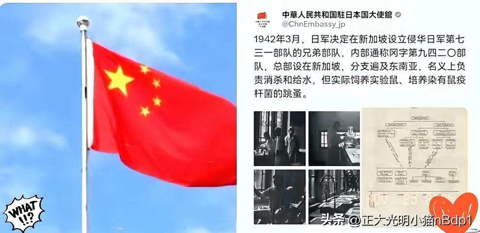 新加坡人应该学习了解一下自己被日本侵占期间的历史
中国驻日大使馆直接曝光新加坡曾