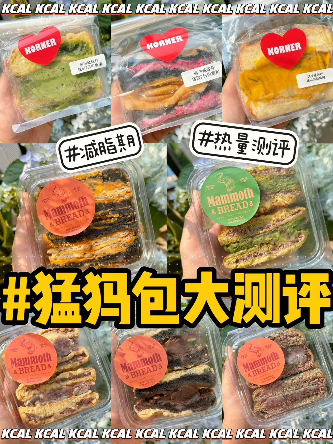 猛犸包热量测评‼️超🔥8款KORNER🐘B&C全拆解