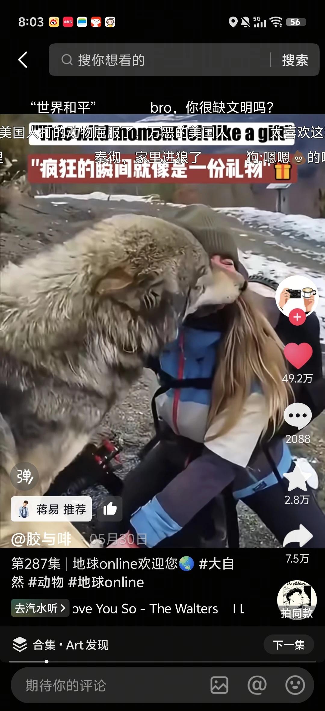 蒋易推荐！
