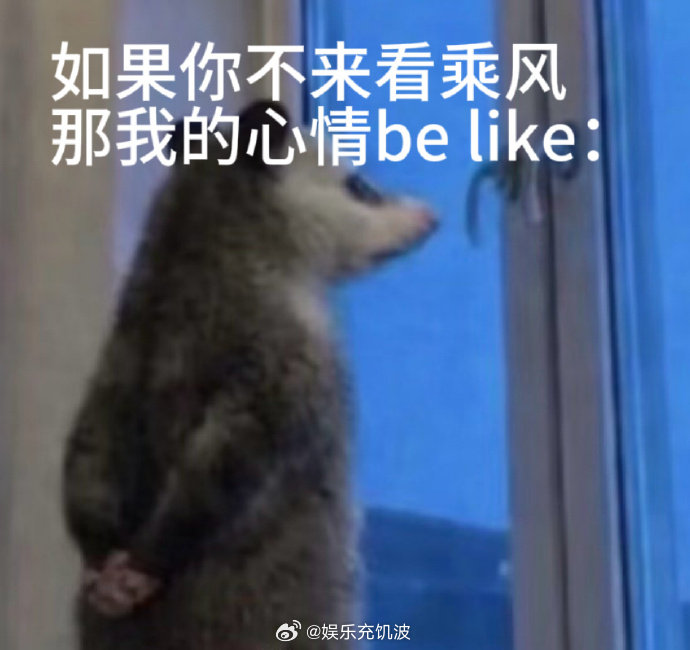 孙怡组全员cos负鼠不看乘风的话，孙怡组：冷冷淡淡凄凄惨惨戚戚，太可爱了乘风20