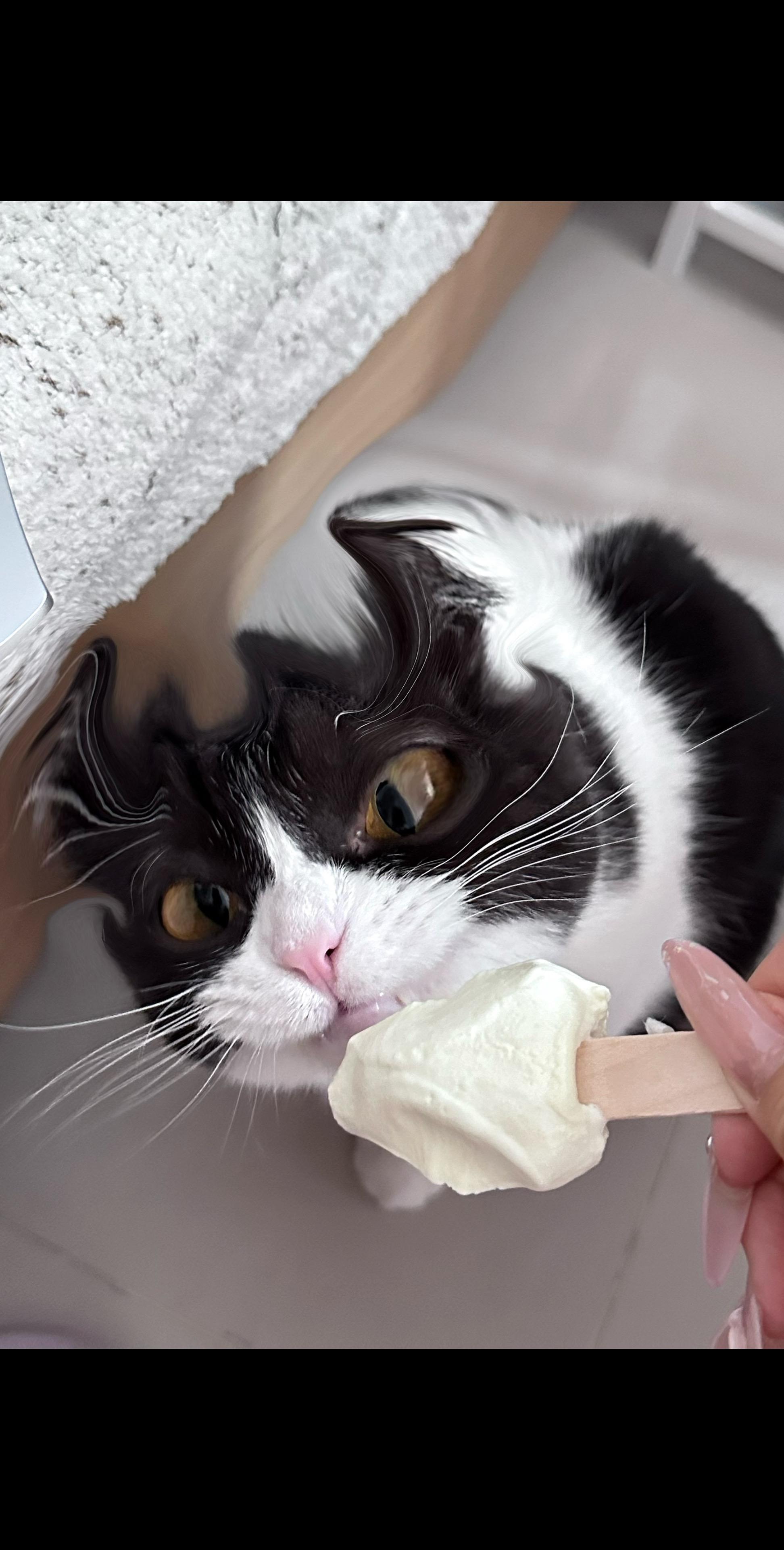 不要放过这个邪恶无牙仔!!!!!!