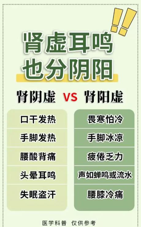 别乱补！肾虚引起的耳鸣，要先分清阴阳
