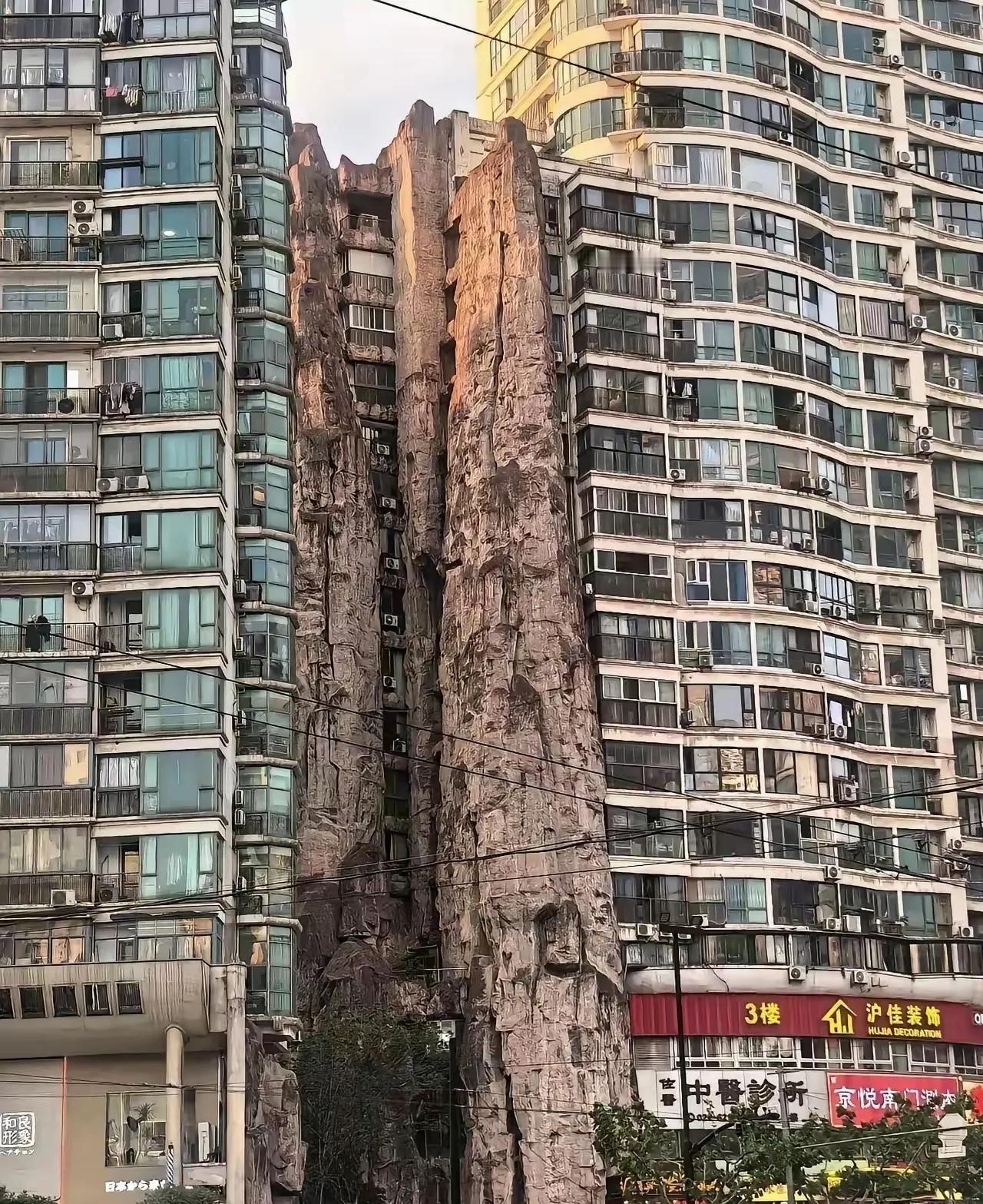 我敢打赌，路过的人都会拍个照。

不是那种随手一咔的敷衍，是停下来、调角度、蹲下