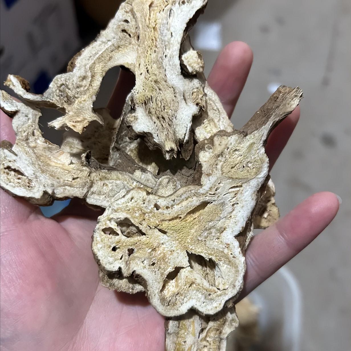 阴精越足，精关越稳，两味药的小方子，滋阴益肾、固关起痿！


老话说 “阴精亏一