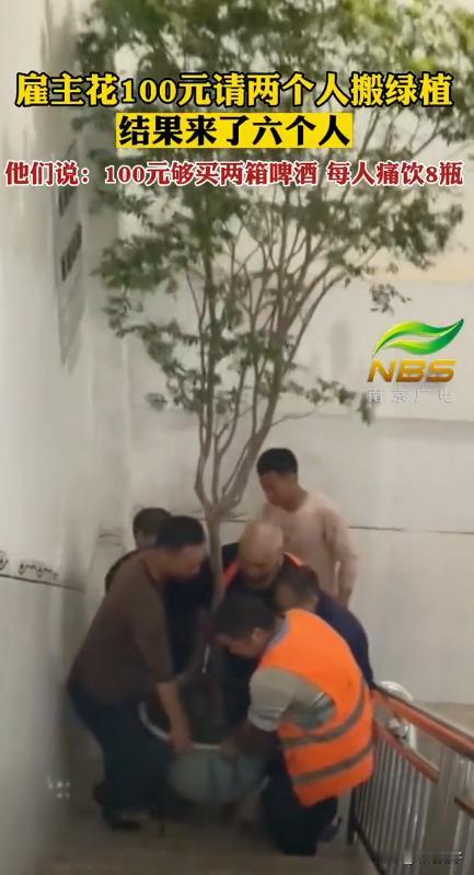 “感人的兄弟情！”福建厦门，一男子花了100请了两位工人搬绿植，但是没想到，最后