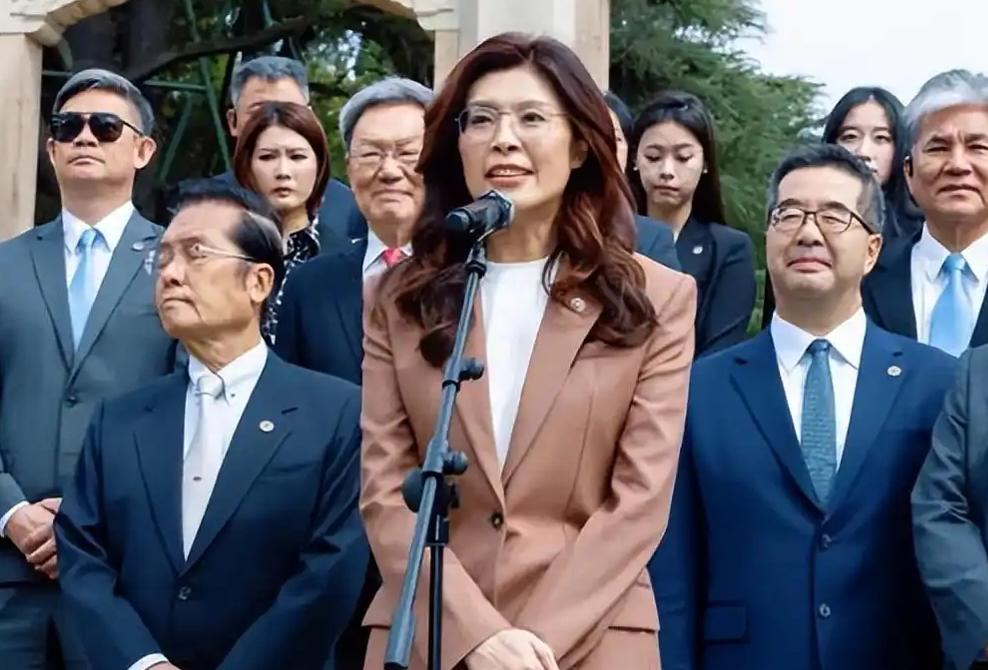 郑丽文说，自己年轻时确实是支持过台独的。不是模糊支持，是那种大学生特有的、带着点