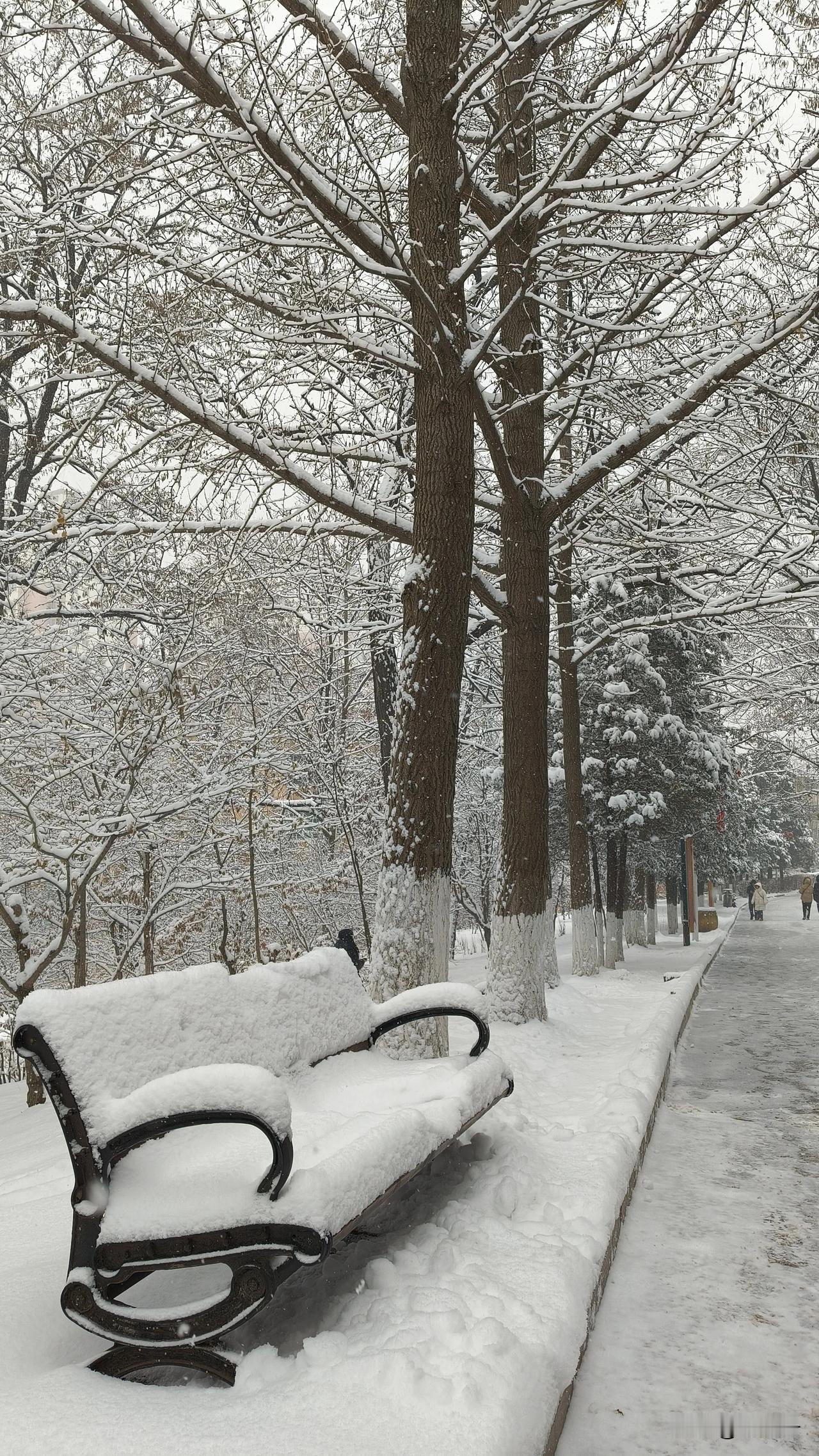 下了一夜的雪。特意步行回家，拍拍雪景，吸吸新鲜空气，呵呵呵，其实空气不新鲜，我刚