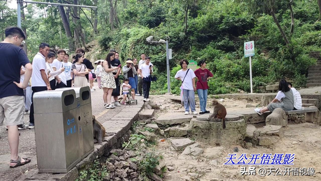 黔灵山，位于贵州省贵阳市云岩区，被称为“黔南第一山”，最高峰大罗岭为1396米。