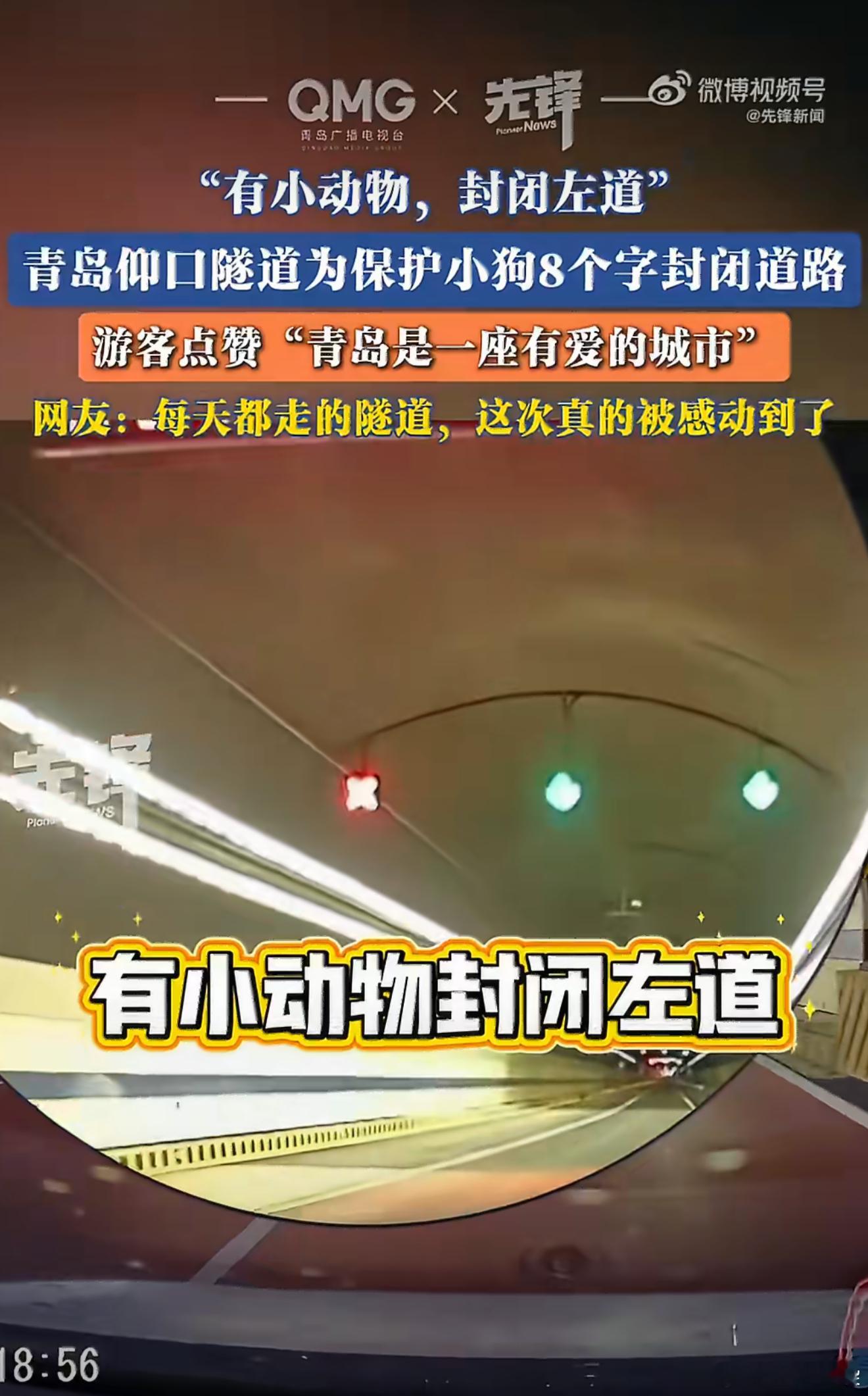 隧道显示屏8个字暖了一座城小狗误入隧道却为它留了一条道青岛仰口隧道这8个字真的温