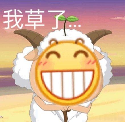 全墨。真是明灯了，照哪哪黑。四强出炉，法国对西班牙，英格兰对阿根廷，全是大戏！今