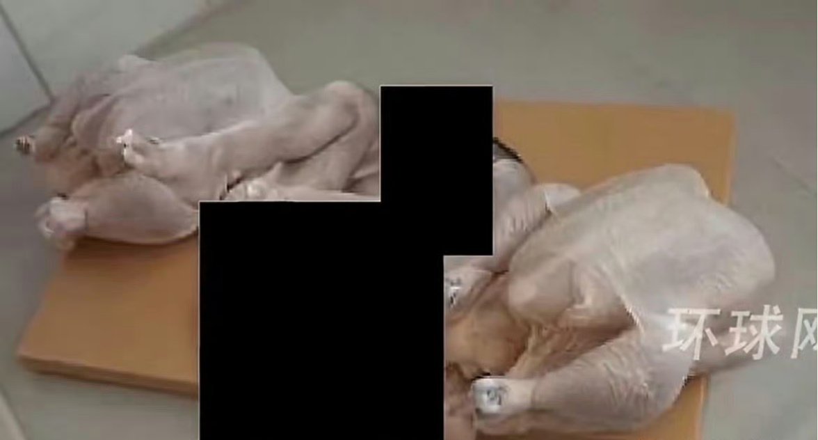 牢A踢爆美国“斩杀线”斩杀了公知陈丹青高晓松易中天们多年欺世谎言！爱泼斯坦案直接