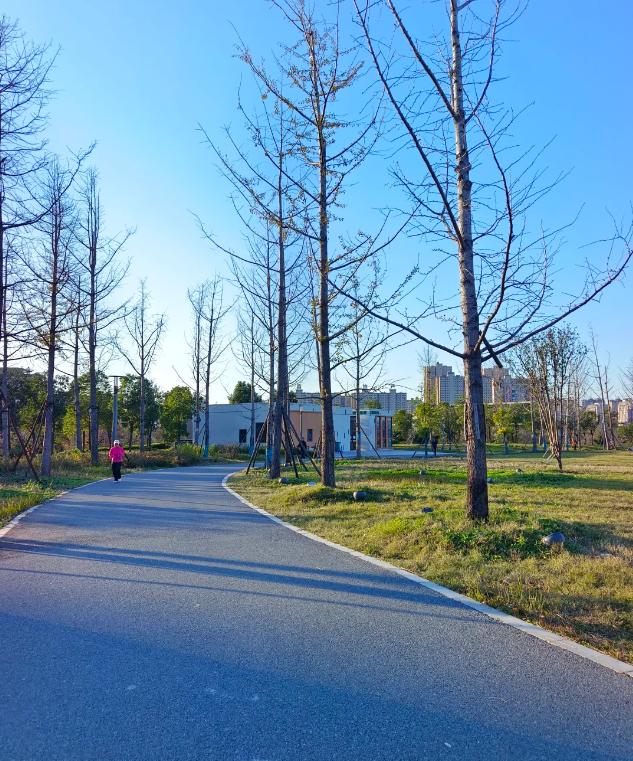 现在有的人把生死看得很淡。我邻居，刚满五十岁，因为持续发烧查出来白血病，医生说是