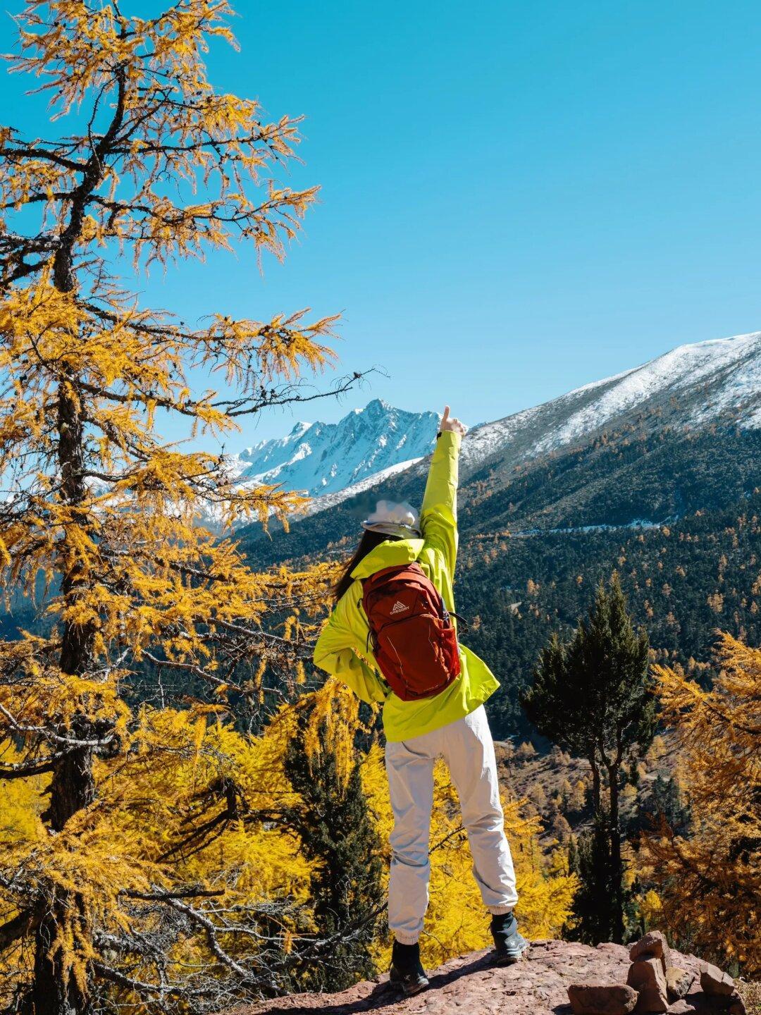 雪山和秋景更搭🍂