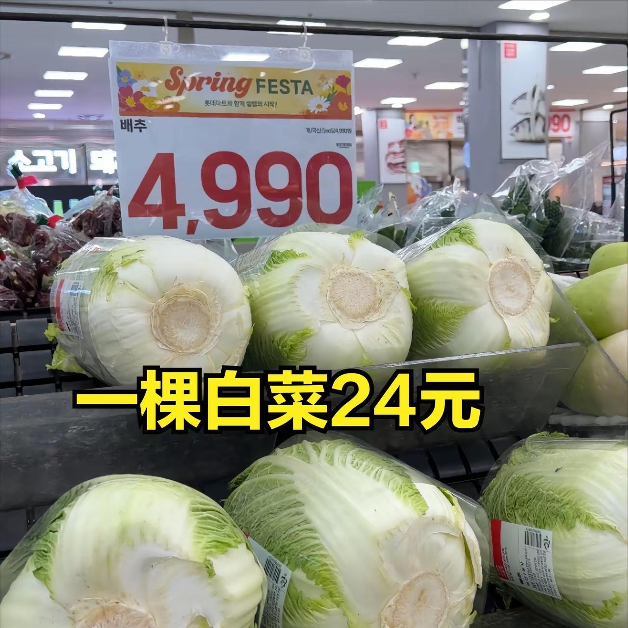 韩国首尔超市物价大曝光，大家看到底贵不贵？
一个西瓜5斤多，折合人民币110元，