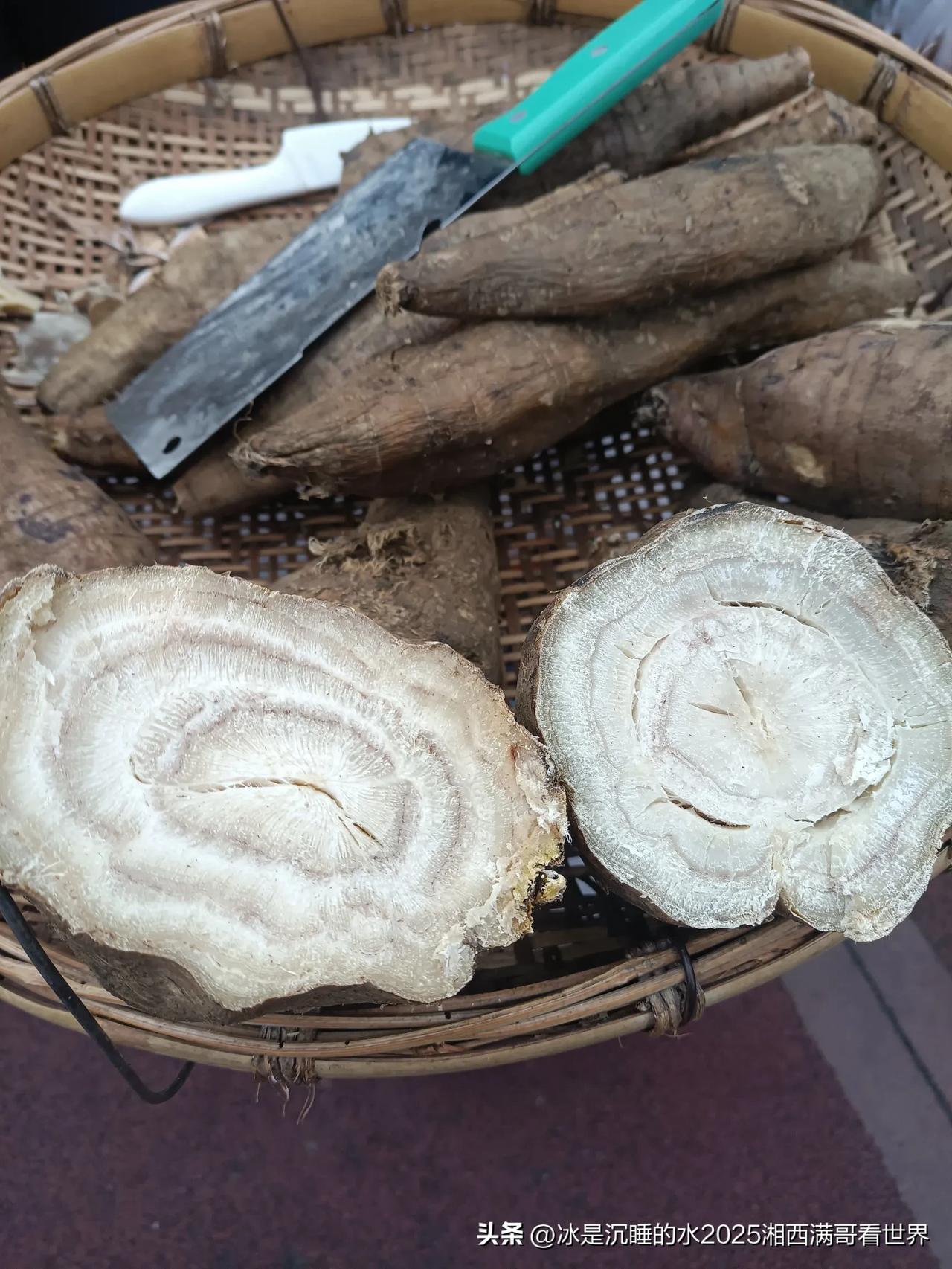 湘西山区的野生葛根，够粉够清甜，吃起来别有风味。