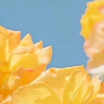 每日一善 阳光信用每日一善 善是一种美德，人善是一种修养，真善是一种功德，对人要