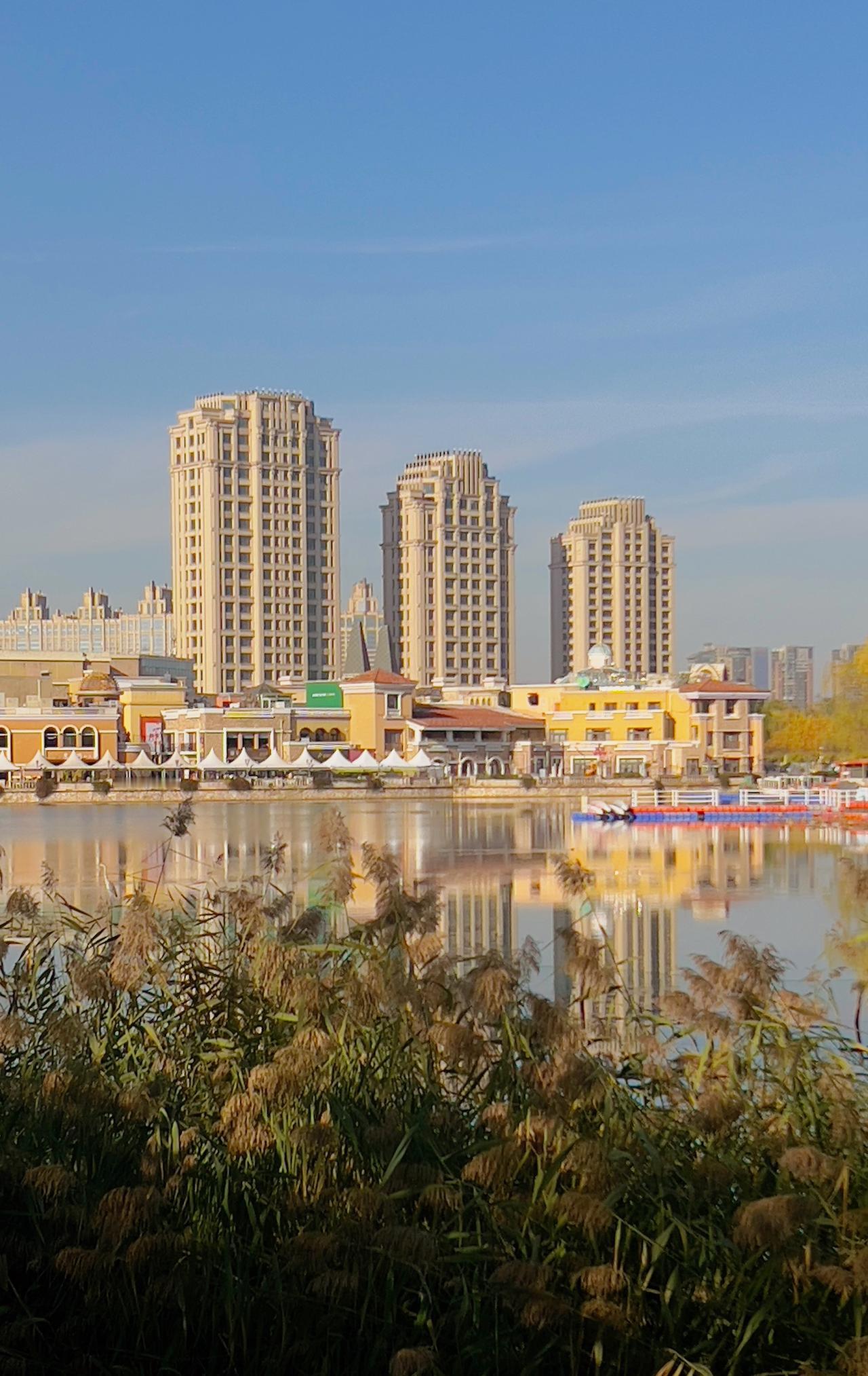 【原创】随拍—冬日朝阳公园远景