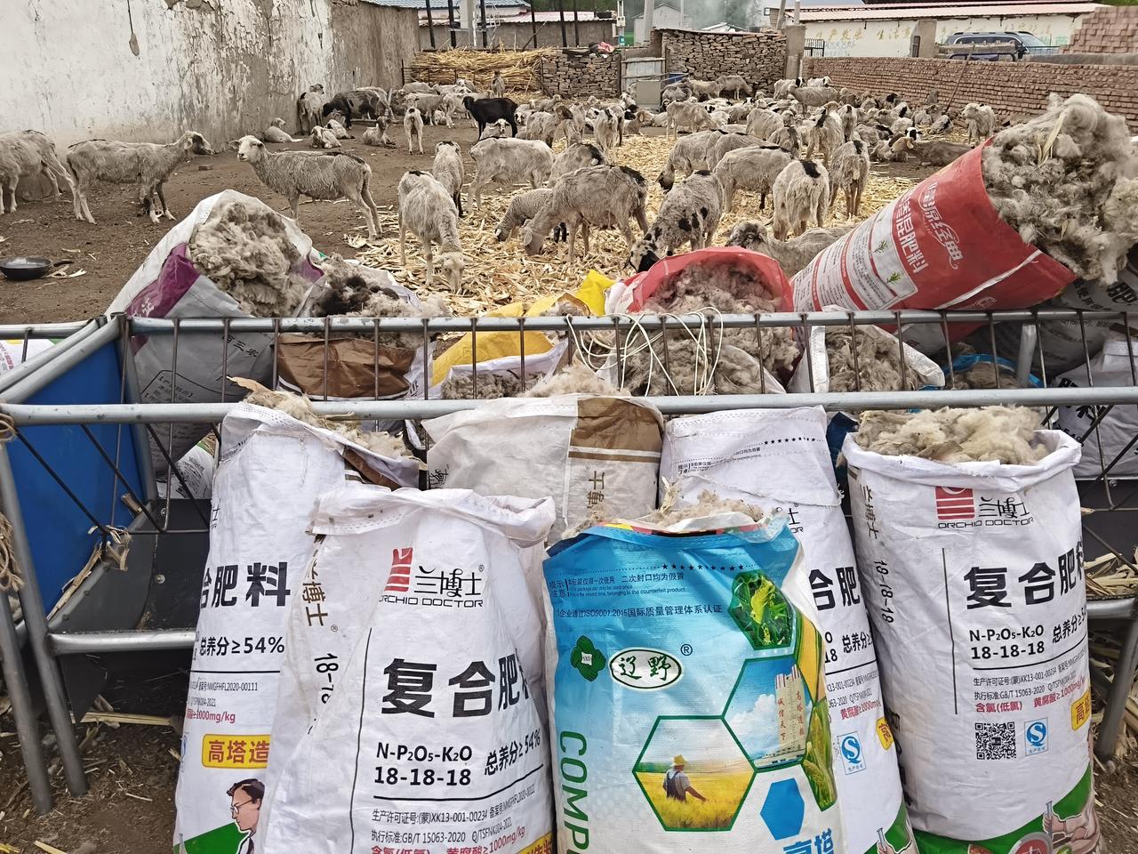 好久没有这么大汗淋漓的干过活了。
虽然只有短短两个小时，但也是给我忙活够呛，又到