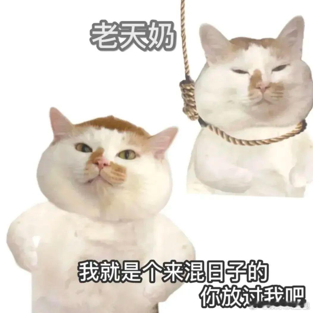 长辈守岁吃饺子vs00后守岁吃泡面 守岁的餐桌，藏着两代人的年味儿。长辈端出的饺